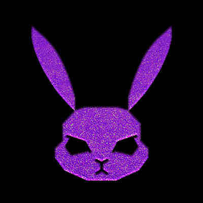 GRUMPY RABBIT暴躁的兔子买家秀