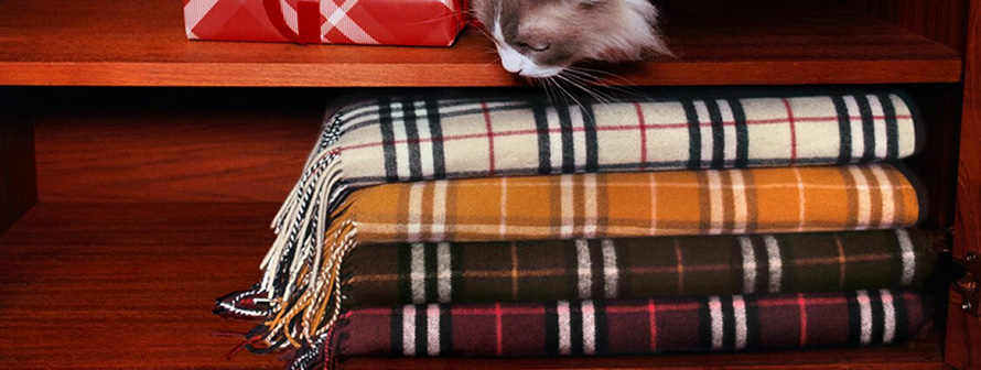 BURBERRY品牌首页图片